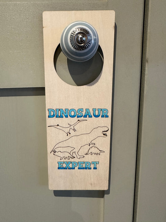 Door Hanger - dinasaur expert and sleepy time