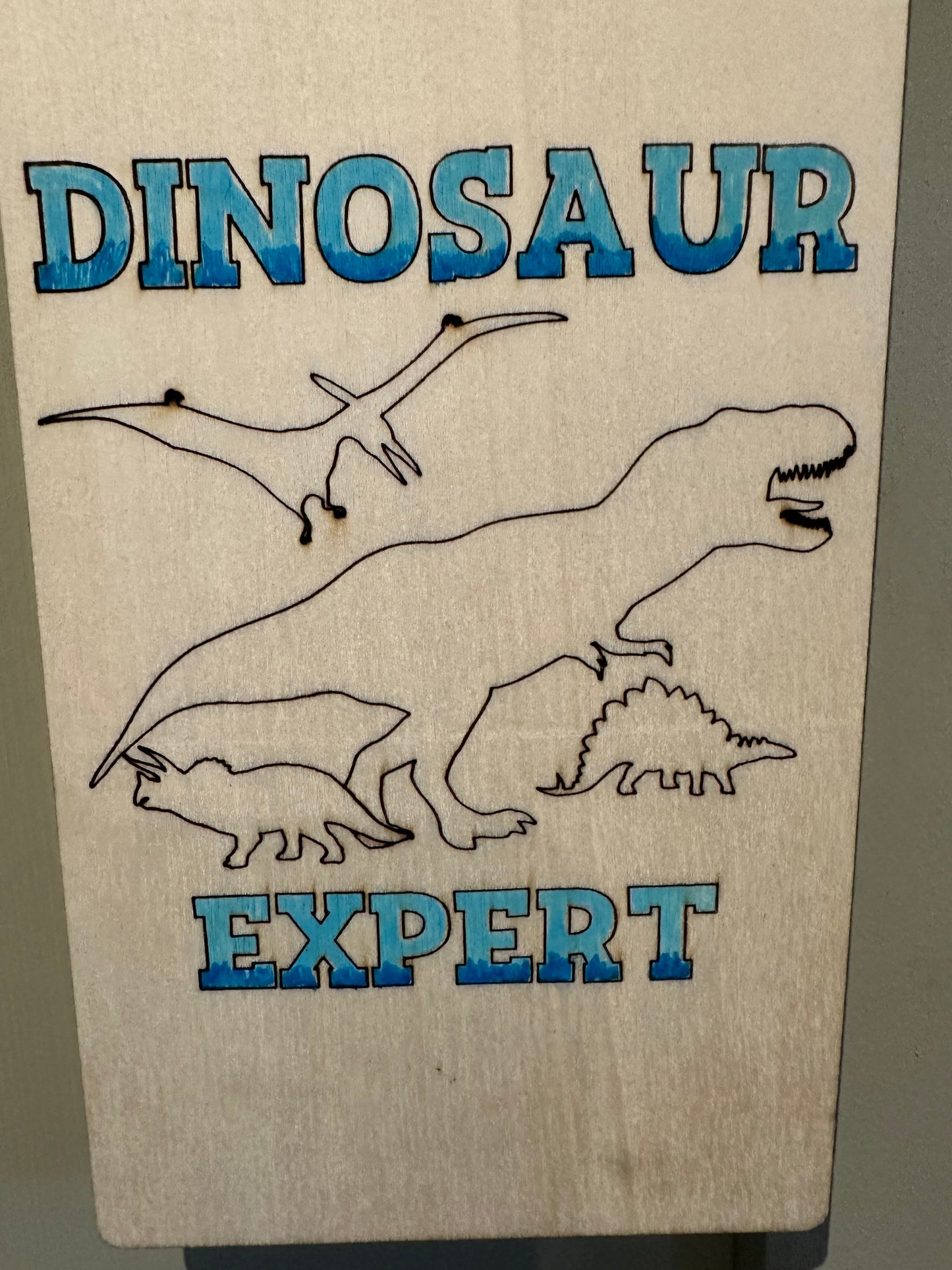 Door Hanger - dinasaur expert and sleepy time