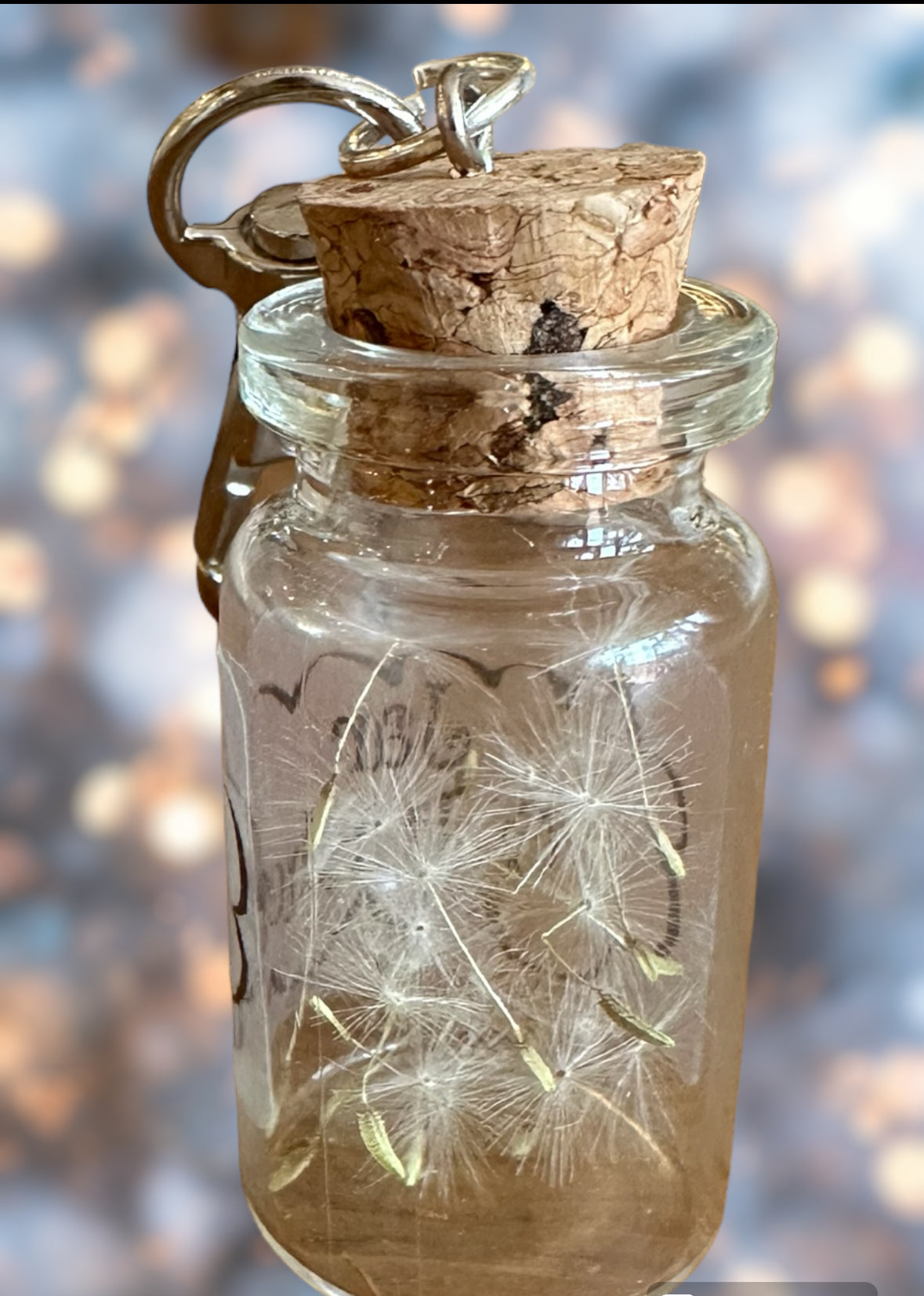 Jars of wishes and luck on keyring